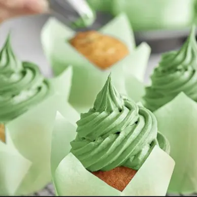 Colorante en gel marca CHEFMASTER Verde Hoja's photo #1