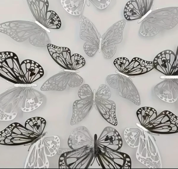 12 mariposas plateadas's foto | Ely's Shop |  BizneCubano